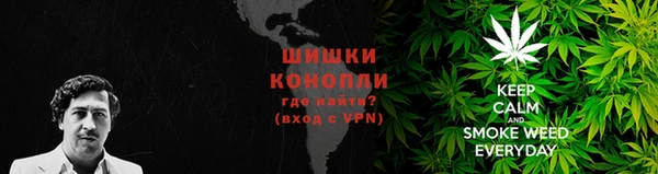 spice Бронницы