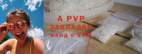 хмурый Бородино