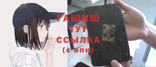 хмурый Бородино