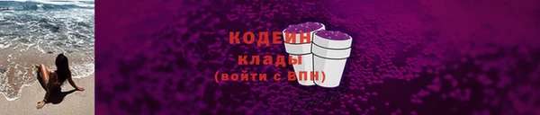 хмурый Бородино