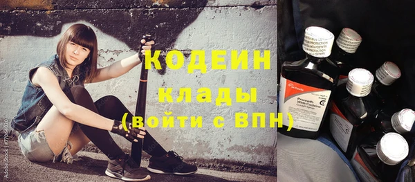 хмурый Бородино