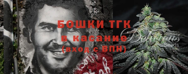хмурый Бородино