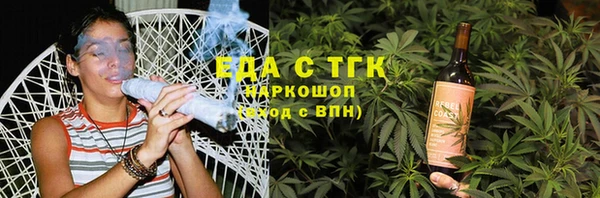 хмурый Бородино