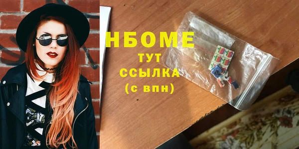 хмурый Бородино